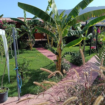 Arlin Bungalows เกเมร์ ภายนอก รูปภาพ