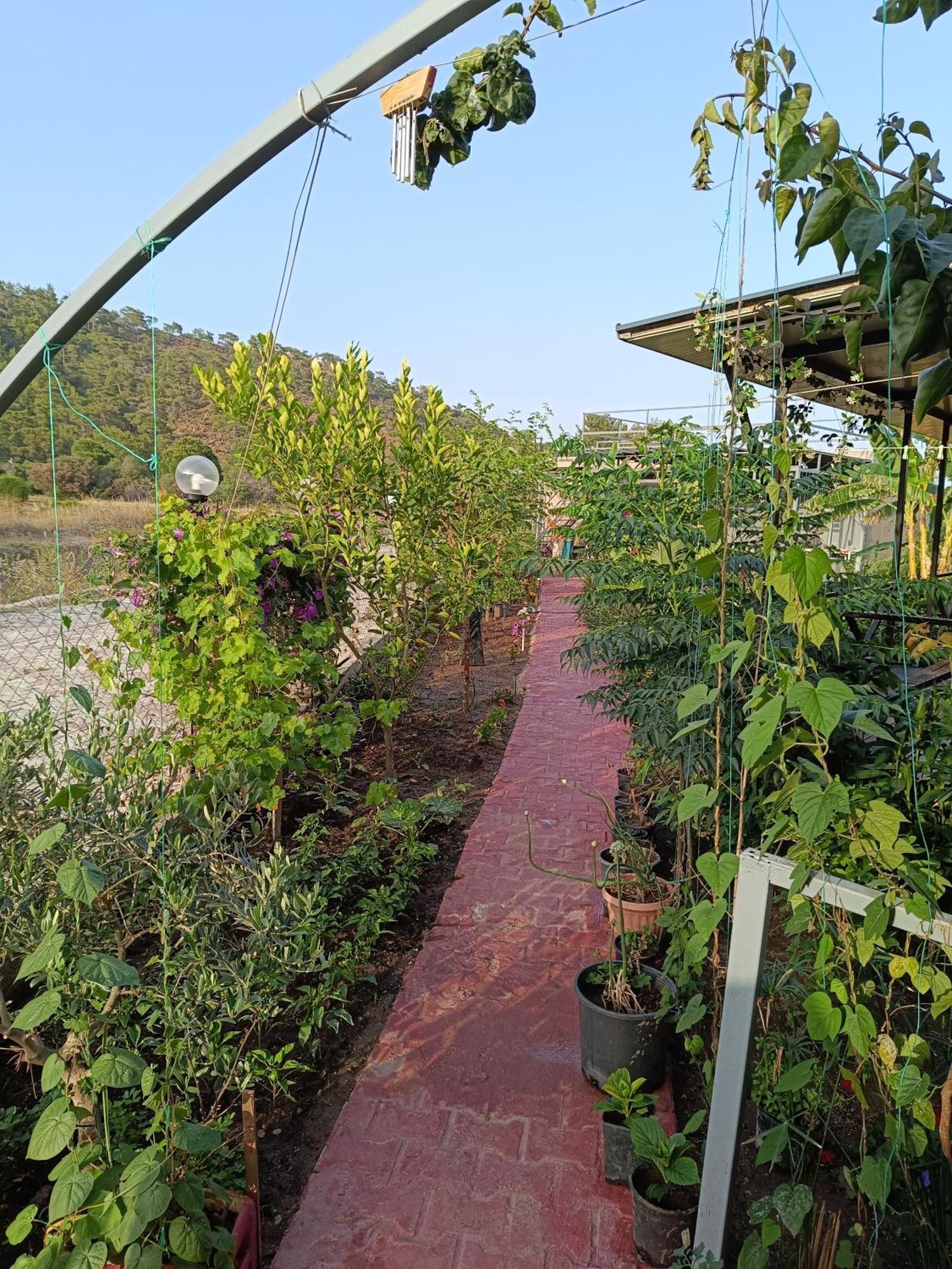 Arlin Bungalows เกเมร์ ภายนอก รูปภาพ