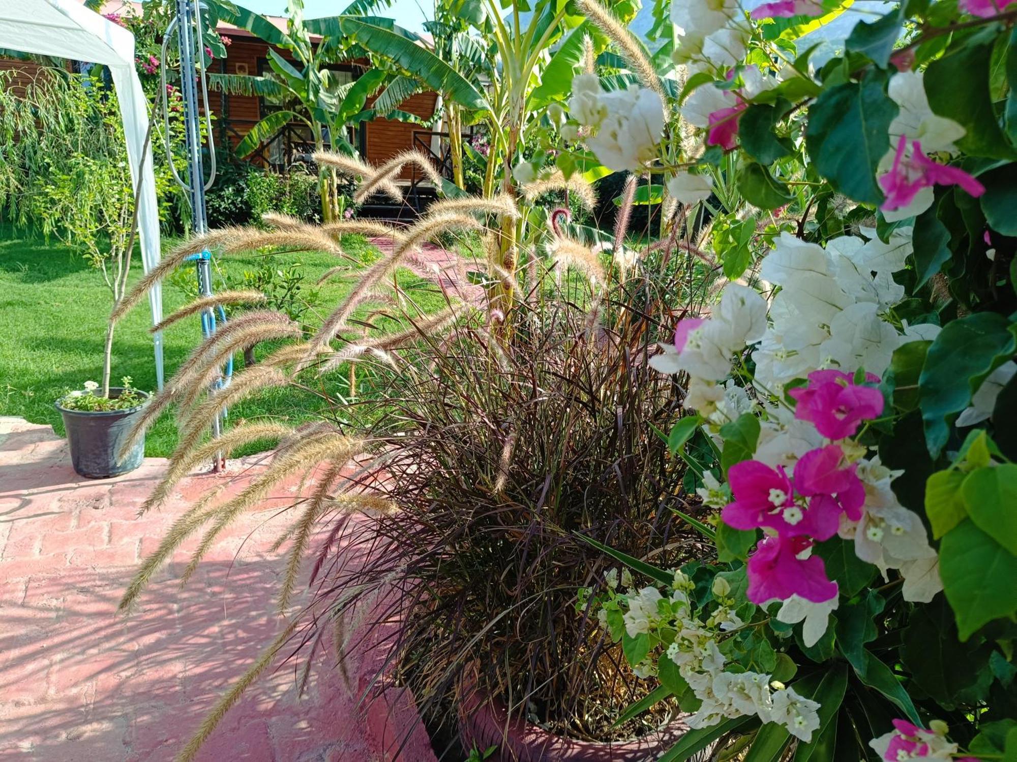 Arlin Bungalows เกเมร์ ภายนอก รูปภาพ