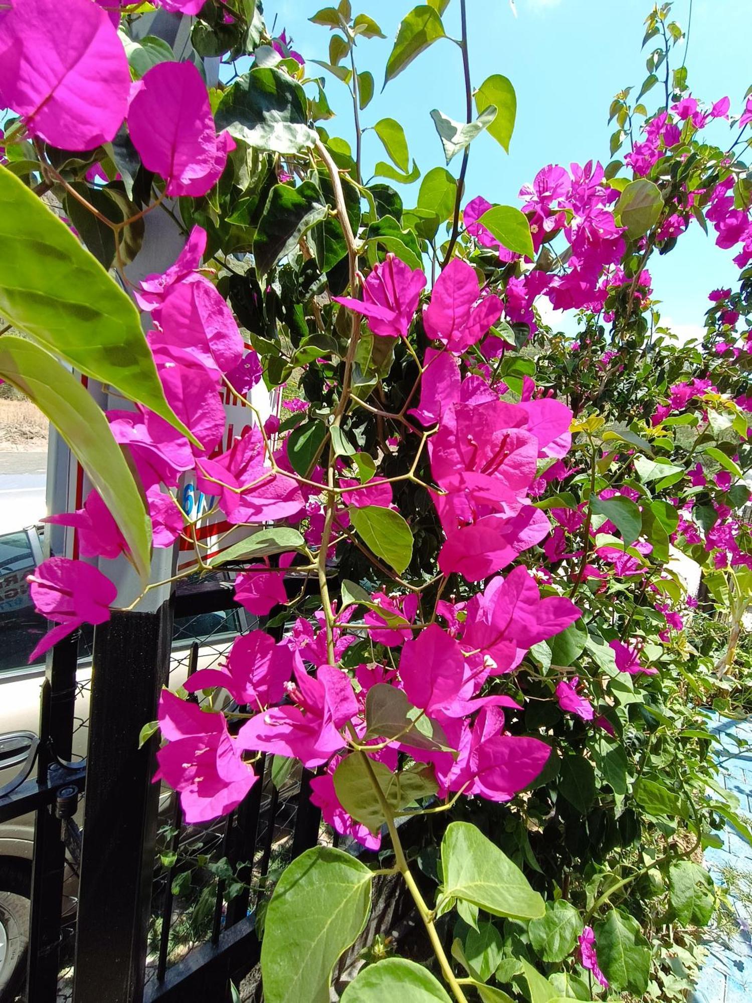 Arlin Bungalows เกเมร์ ภายนอก รูปภาพ