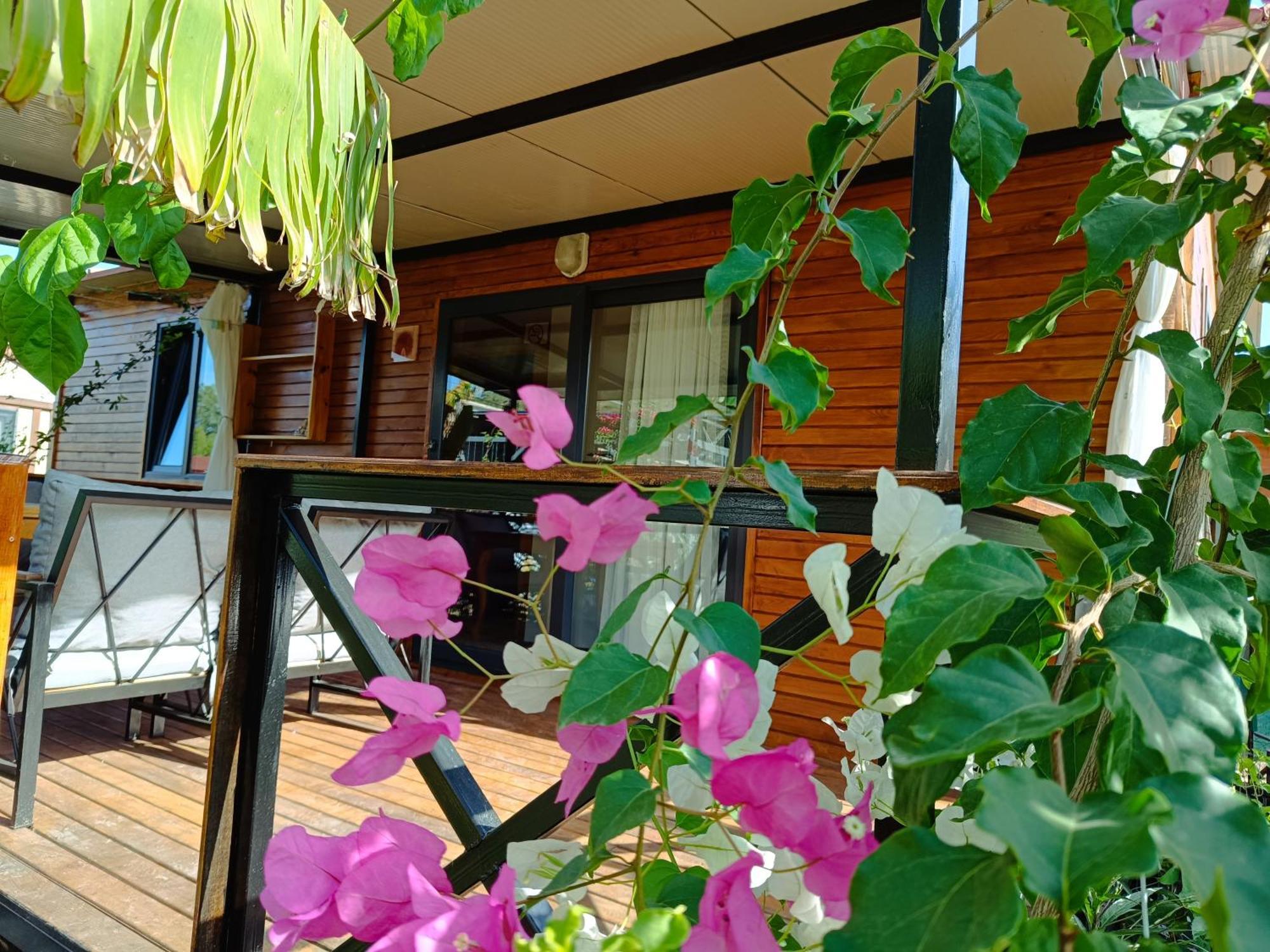 Arlin Bungalows เกเมร์ ห้อง รูปภาพ