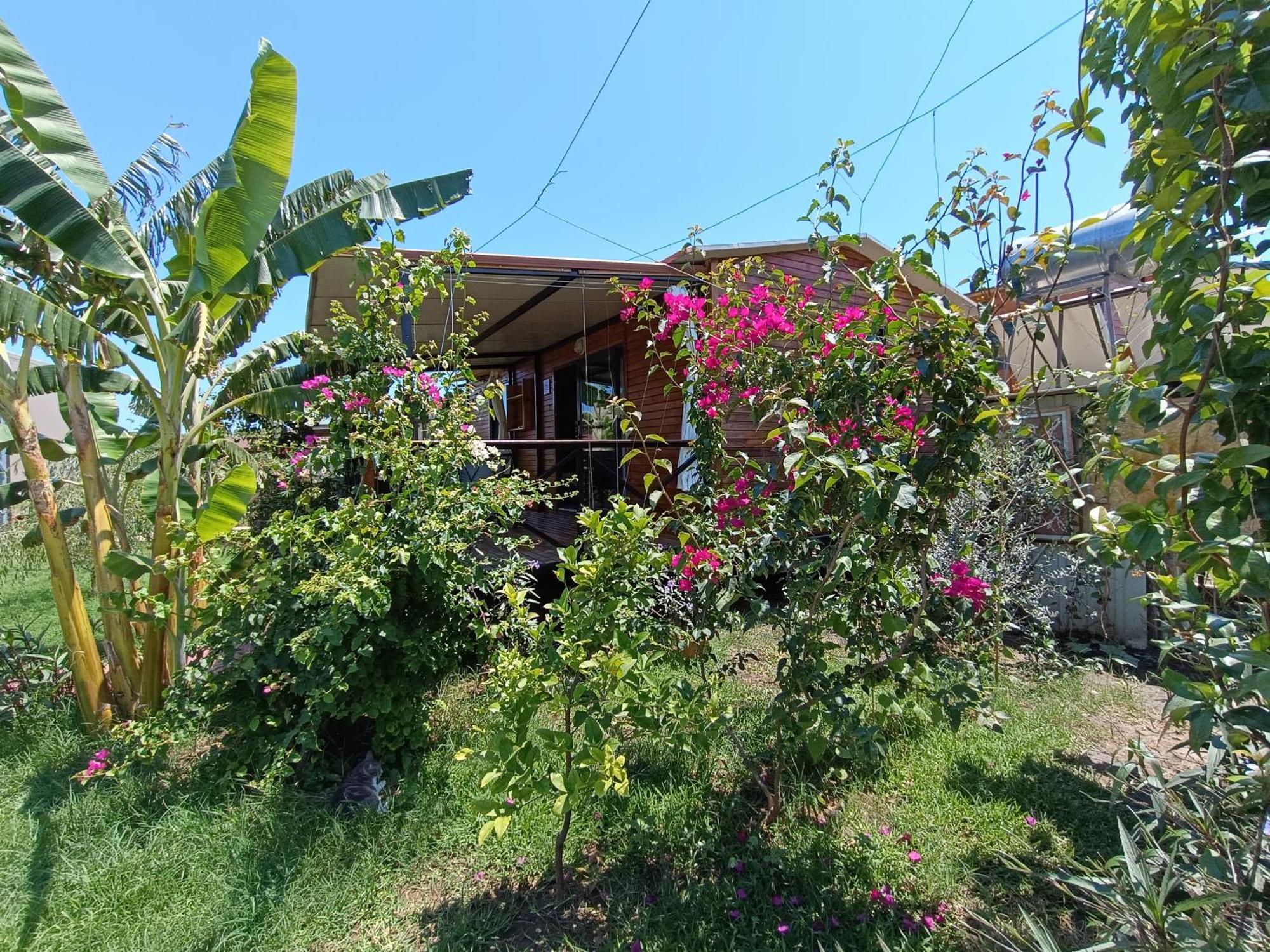 Arlin Bungalows เกเมร์ ภายนอก รูปภาพ