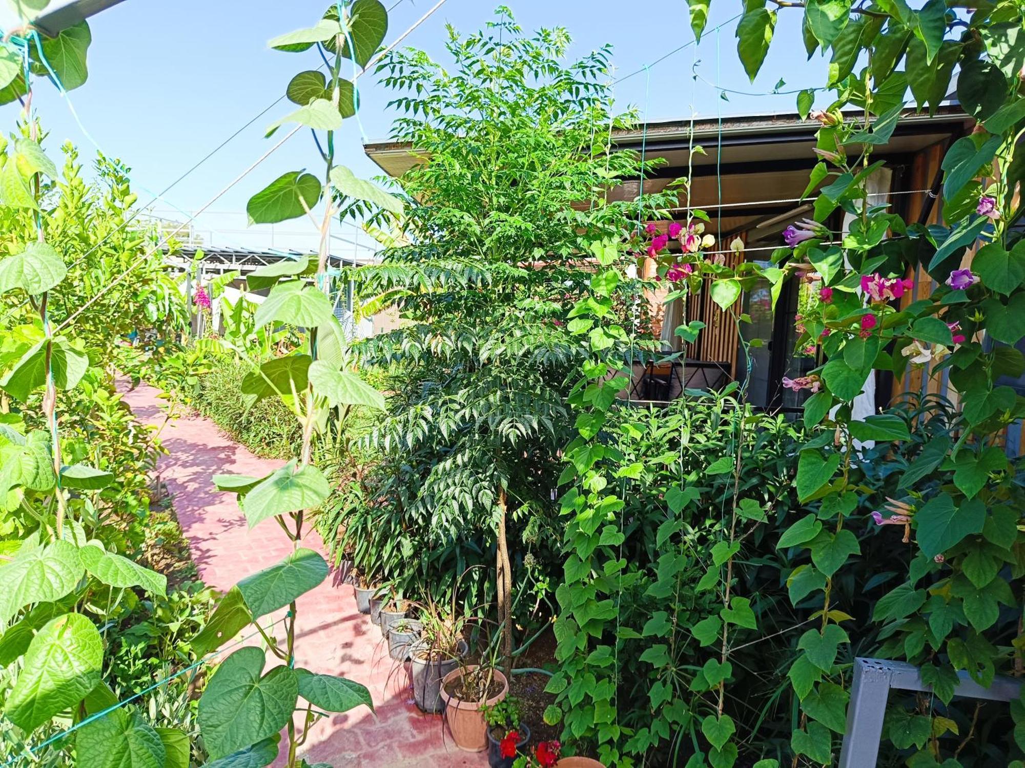 Arlin Bungalows เกเมร์ ภายนอก รูปภาพ