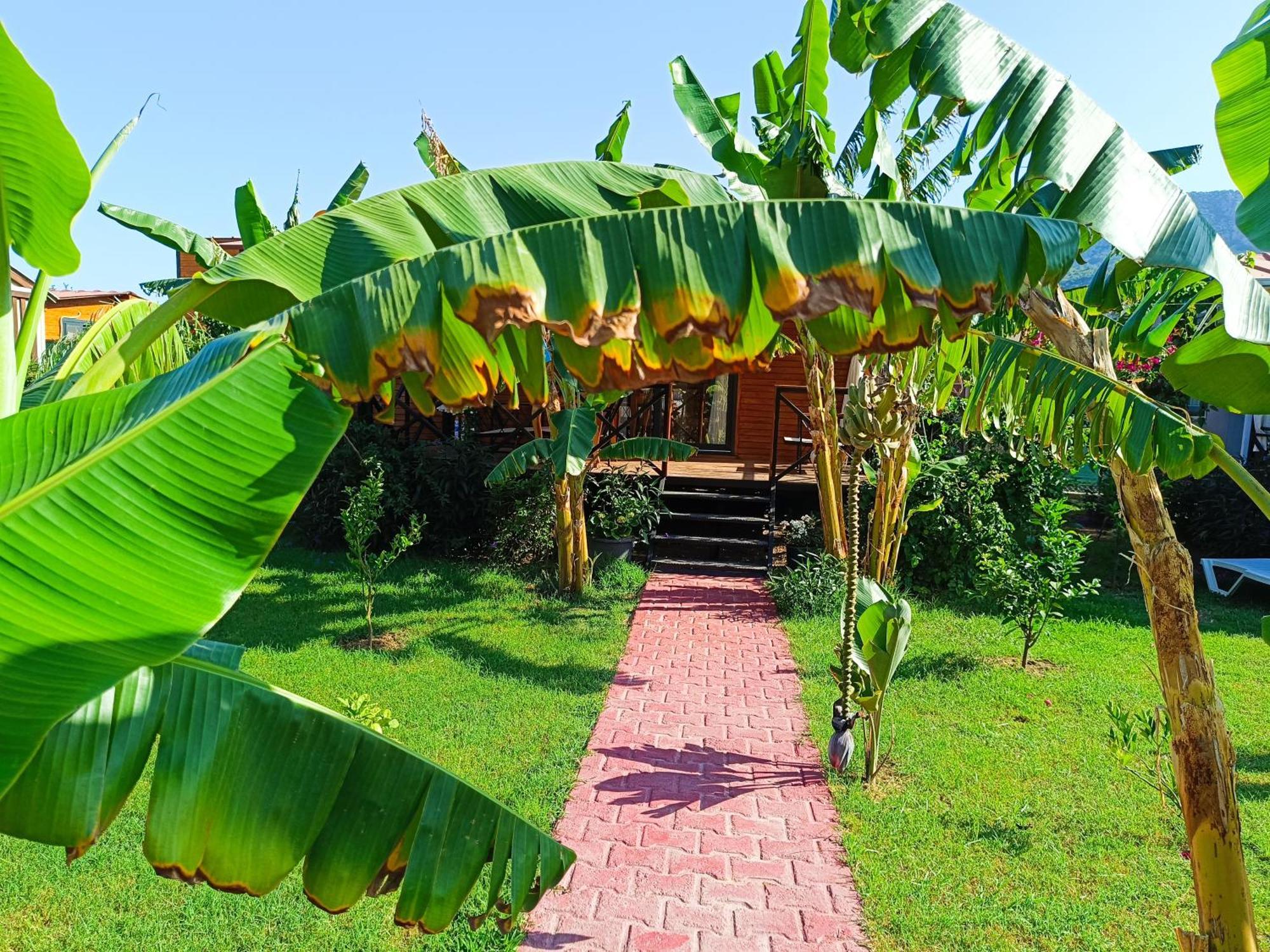 Arlin Bungalows เกเมร์ ภายนอก รูปภาพ